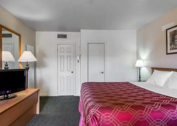 Econo Lodge Inn & Suites Durango